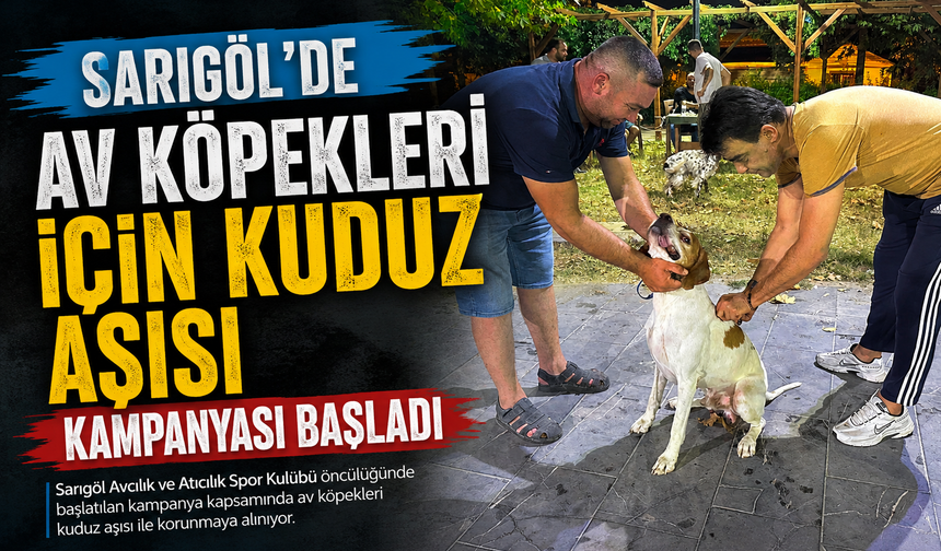 Sarıgöl av köpekleri için kuduz aşısı kampanyası başladı