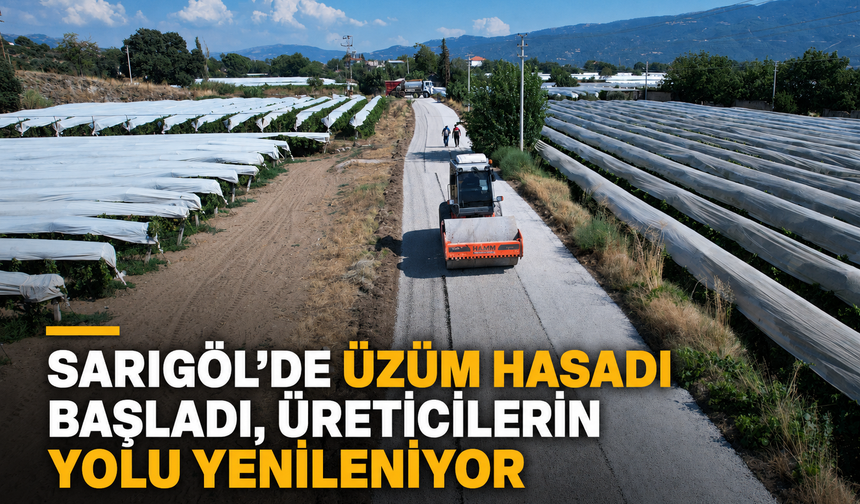 Sarıgöl’de Üzüm Hasadı Başladı Üreticilerin Yolu Yenileniyor