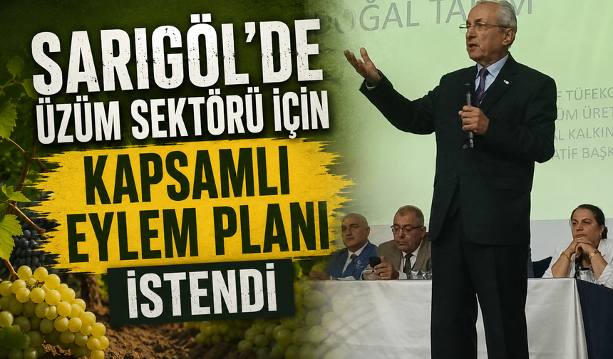 Sarıgöl'de üzüm sektörü için kapsamlı eylem planı istendi