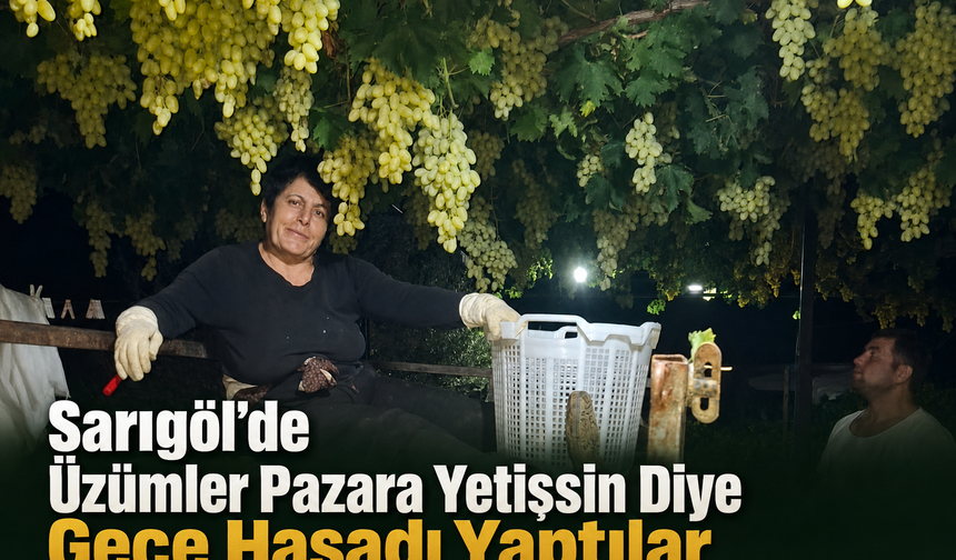 Sarıgöl’de Üzümler Pazara Yetişsin Diye Gece Hasadı Yaptılar