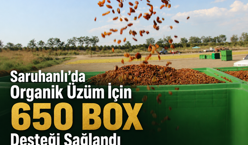 Saruhanlı’da Organik Üzüm İçin 650 Box Desteği Sağlandı