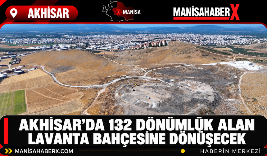 Akhisar’da 132 Dönümlük Alan Lavanta Bahçesine Dönüşecek