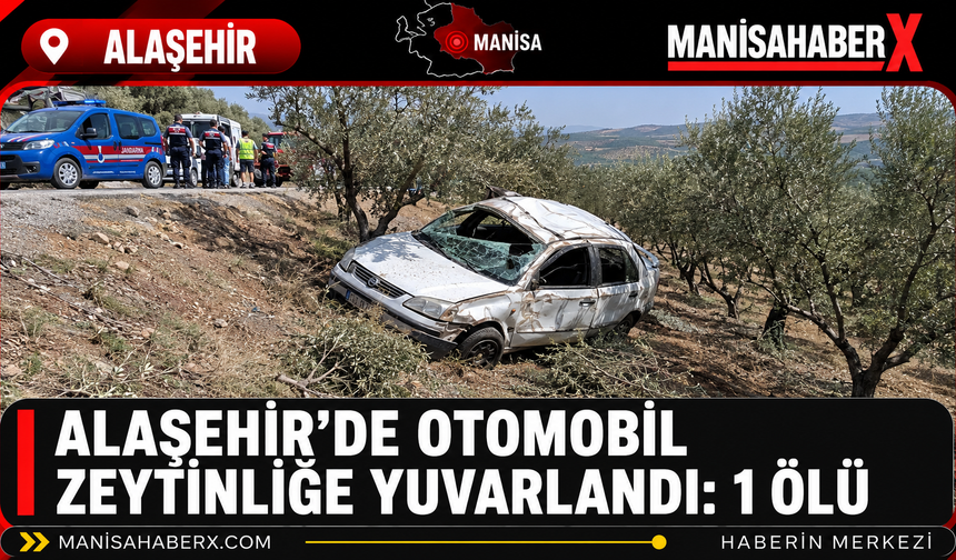 Alaşehir’de Otomobil Zeytinliğe Yuvarlandı: 1 Ölü
