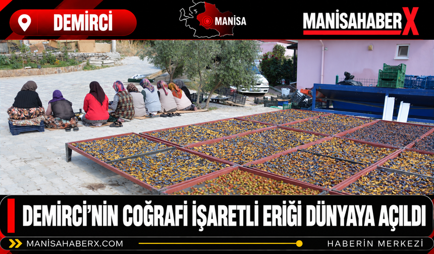 Demirci’nin Coğrafi İşaretli Eriği Dünyaya Açıldı