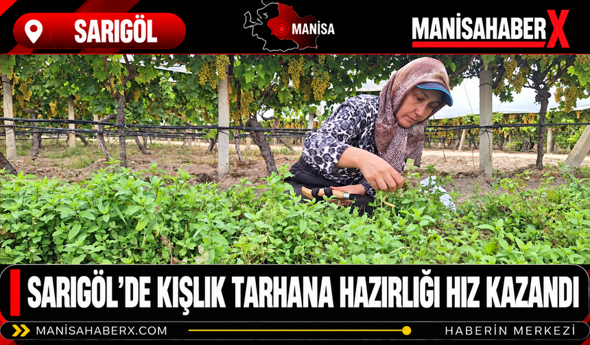 Sarıgöl’de Kışlık Tarhana Hazırlığı Hız Kazandı