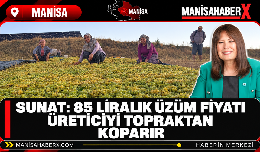 Sunat: 85 Liralık Üzüm Fiyatı Üreticiyi Topraktan Koparır