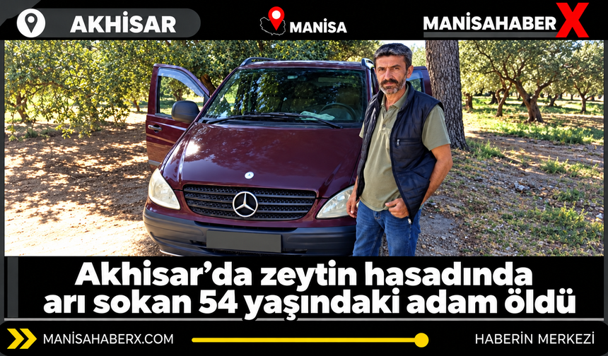 Akhisar’da zeytin hasadında arı sokan 54 yaşındaki adam öldü