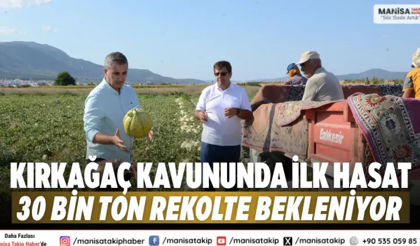Kırkağaç kavununda ilk hasat 30 bin ton rekolte bekleniyor
