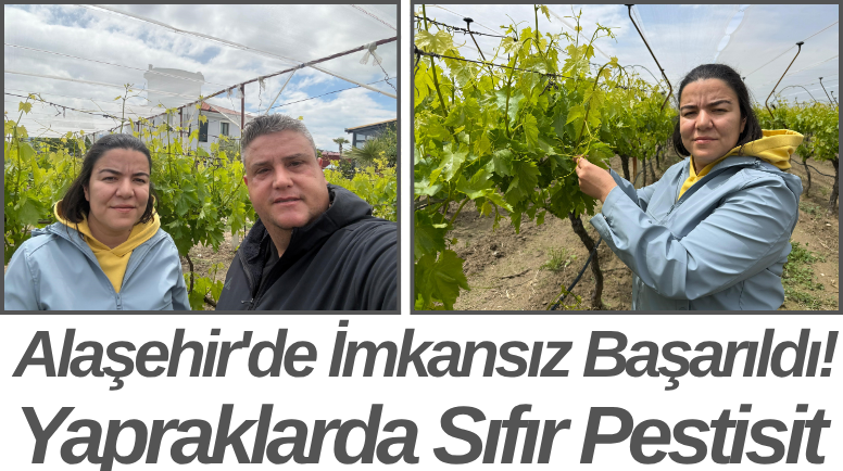Alaşehir'de İmkansız Başarıldı! Yapraklarda Sıfır Pestisit