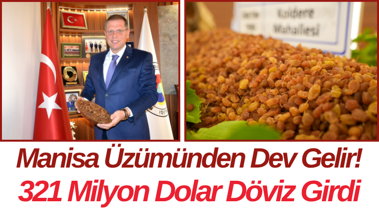 Manisa Üzümünden Dev Gelir! 321 Milyon Dolar Döviz Girdi