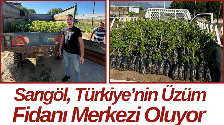 Sarıgöl, Türkiye’nin Üzüm Fidanı Merkezi Oluyor