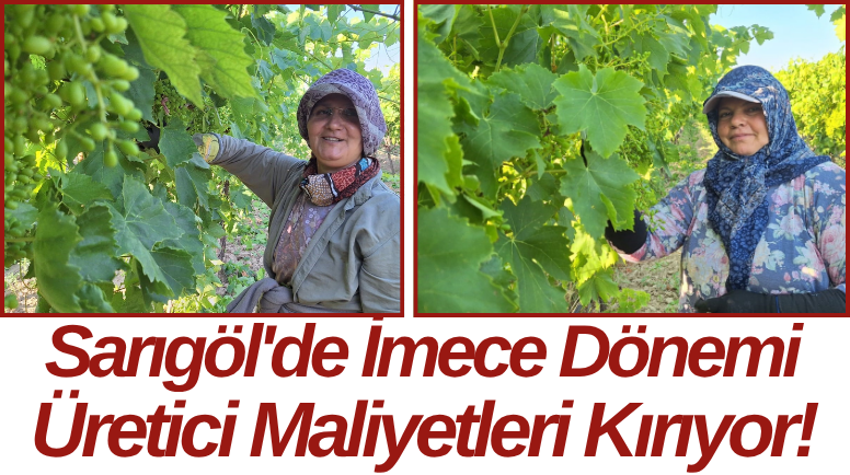 Sarıgöl'de İmece Dönemi Üretici Maliyetleri Kırıyor!