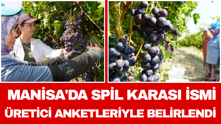 Manisa