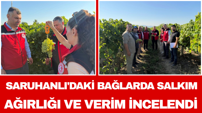 Manisa