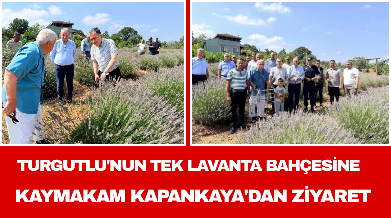 Manisa