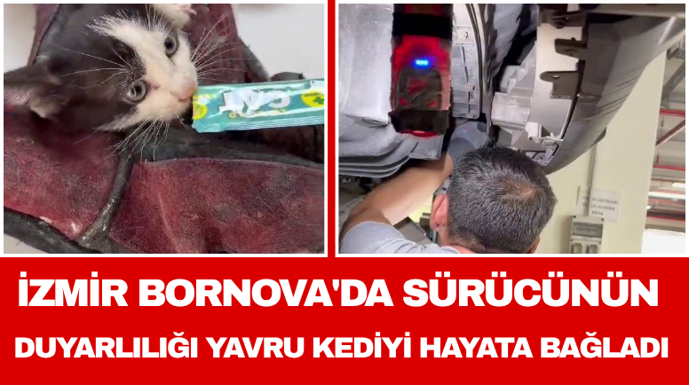 Ege