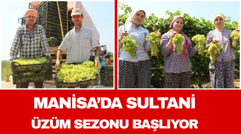 Manisa