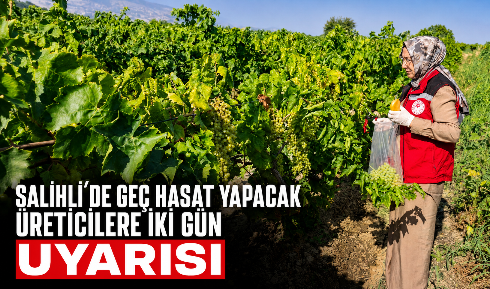 Manisa