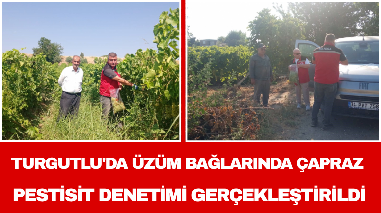 Turgutlu