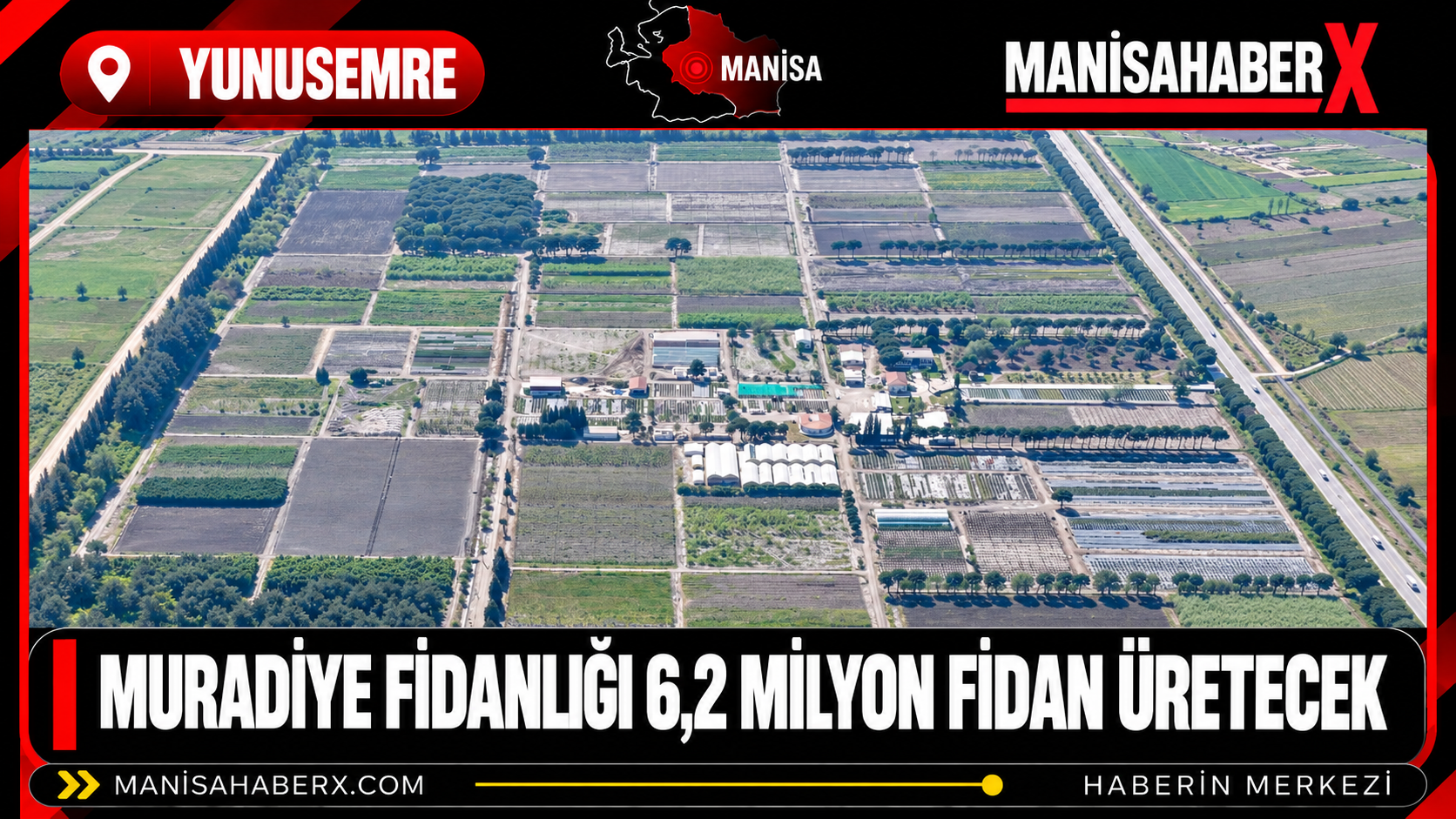 Muradiye Fidanlığı 6,2 Milyon Fidan Üretecek