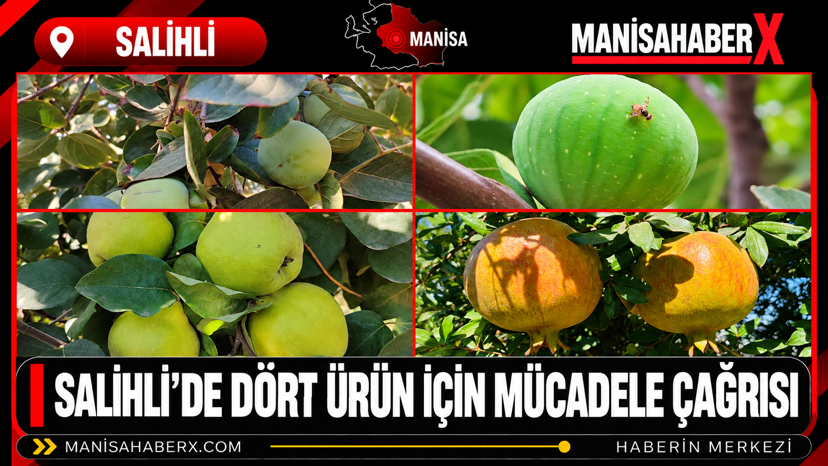Salihli’de Dört Ürün İçin Mücadele Çağrısı