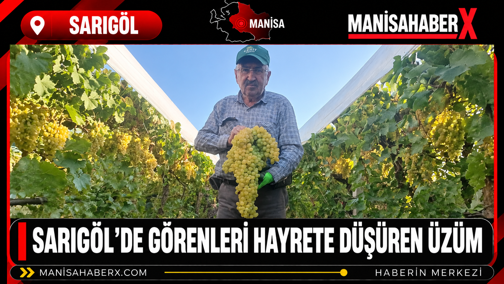 Sarıgöl’de Görenleri Hayrete Düşüren Üzüm