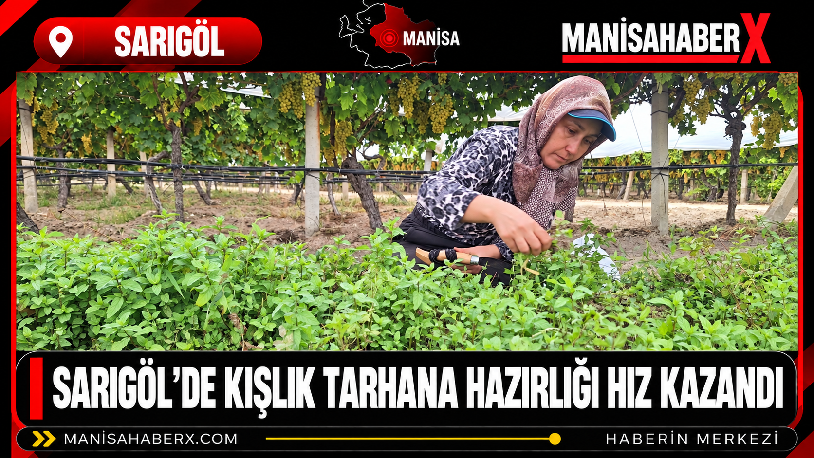 Manisa