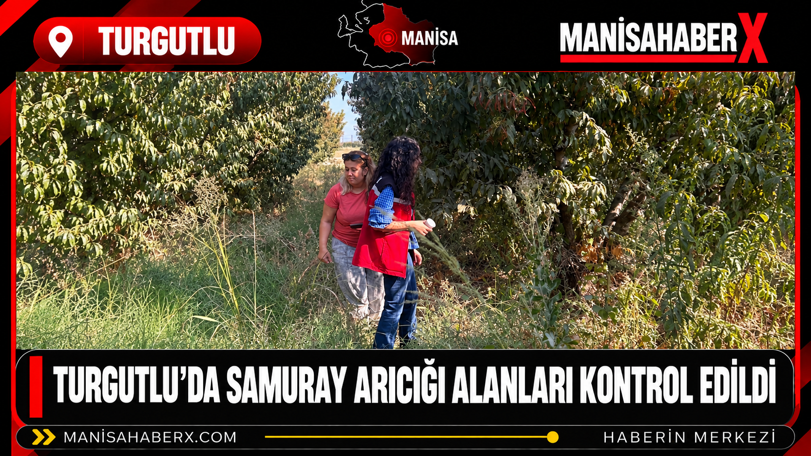 Turgutlu’da Samuray Arıcığı Alanları Kontrol Edildi