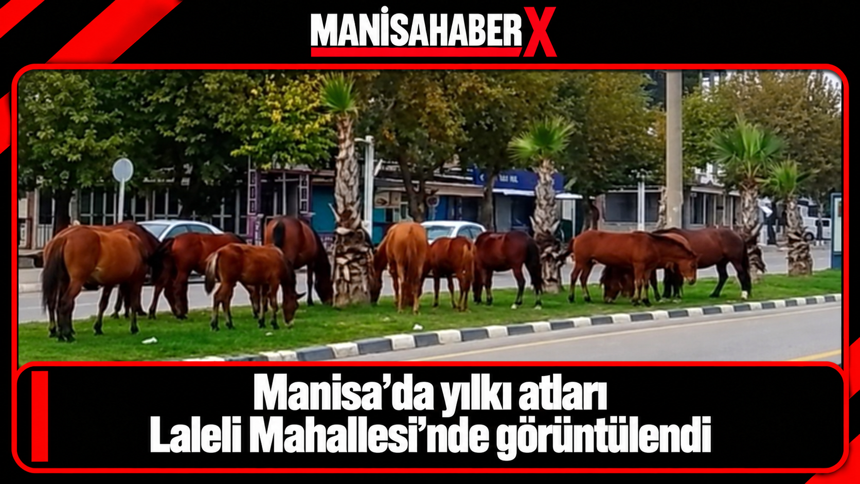 manisa